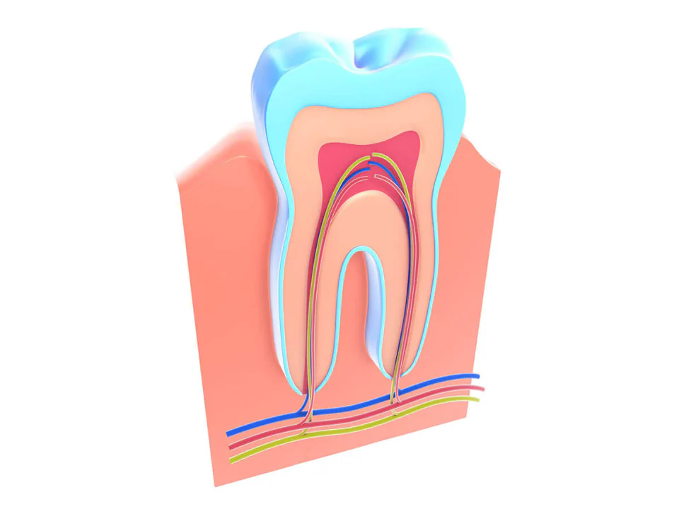 Root Canal Treatment in Maynard, MA at Maynard Family Dentists